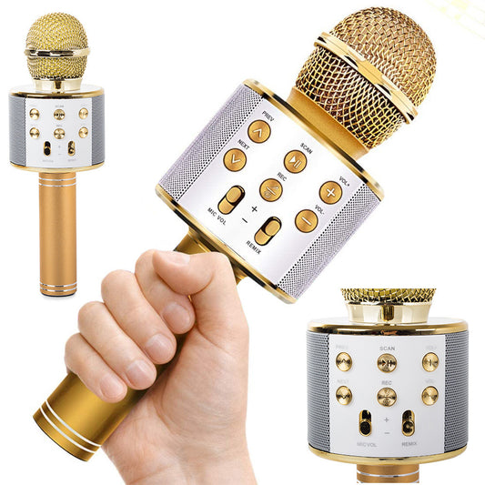 Microphone haut-parleur sans fil