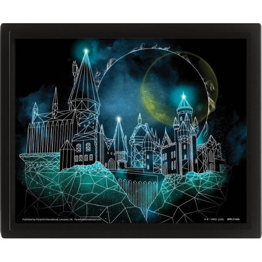 Cadre 3D lenticulaire Poudlard HARRY POTTER